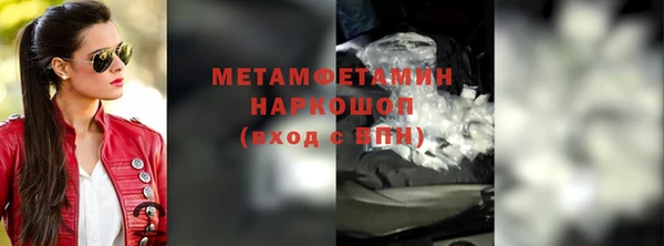 прущие грибы Болохово
